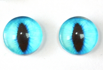 Глазки кошачьи 12мм голубые
