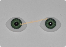 Глаза для кукол 9,5мм*13,5мм зеленые