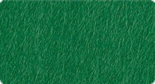 Фетр поделочный (вискоза) 20х30см зеленый