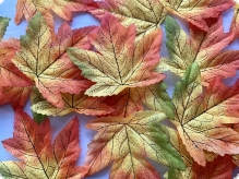 Кленовий листок 10х9см осінній